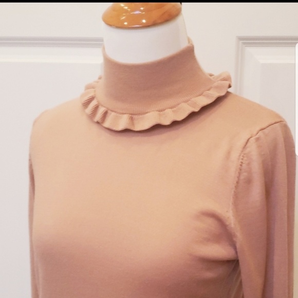 Ann Taylor Sweaters - Ruffle Edge Turtleneck